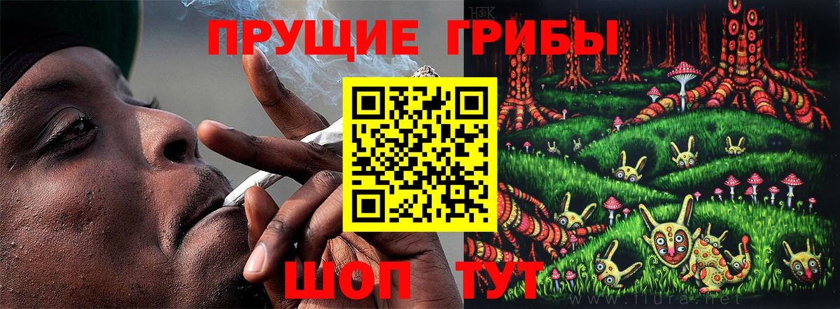 Галлюциногенные грибы прущие грибы Кемерово